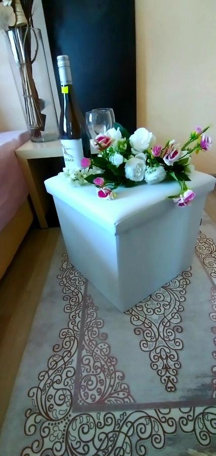 Rose & Water Guest House Pavel Banja Exteriör bild