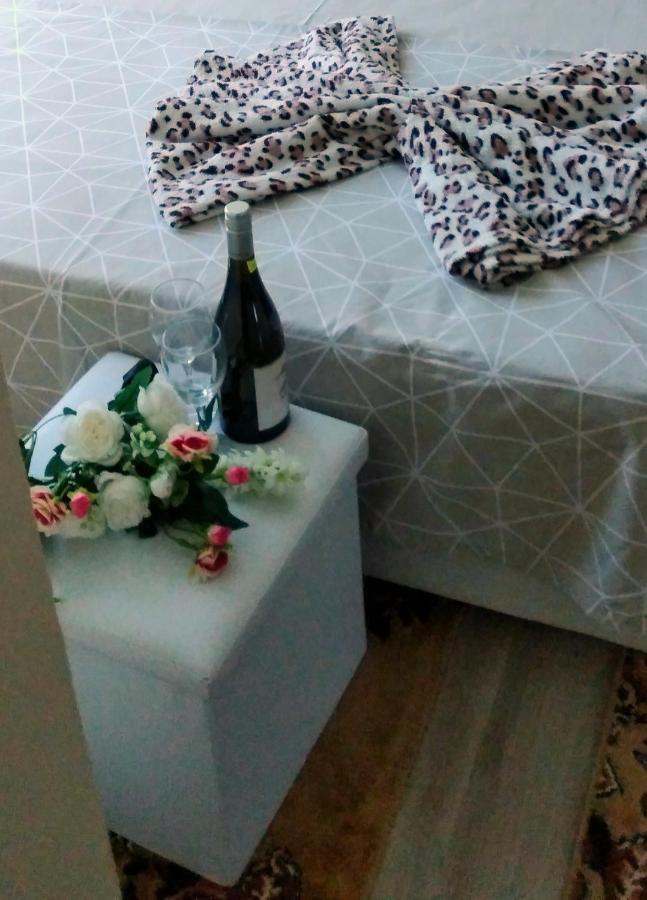 Rose & Water Guest House Pavel Banja Exteriör bild
