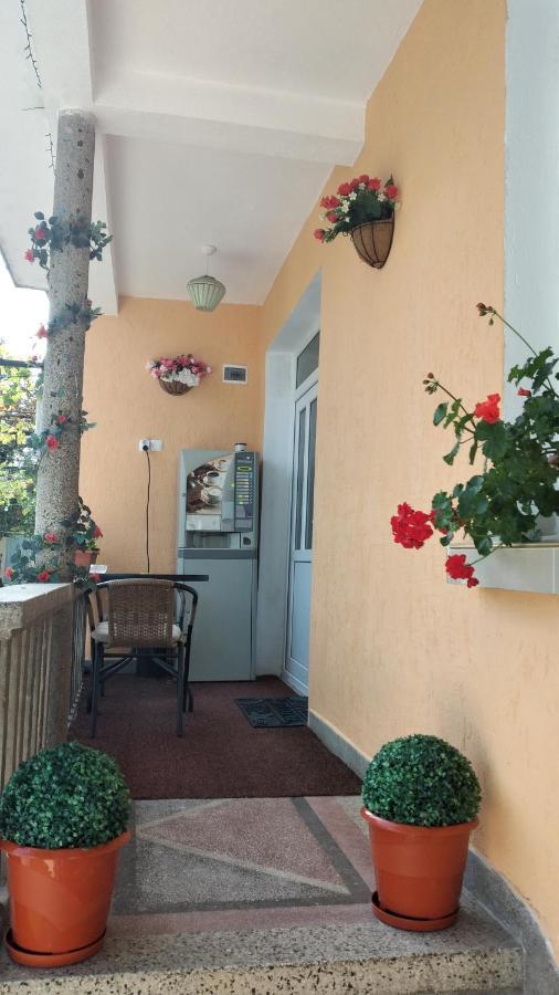 Rose & Water Guest House Pavel Banja Exteriör bild