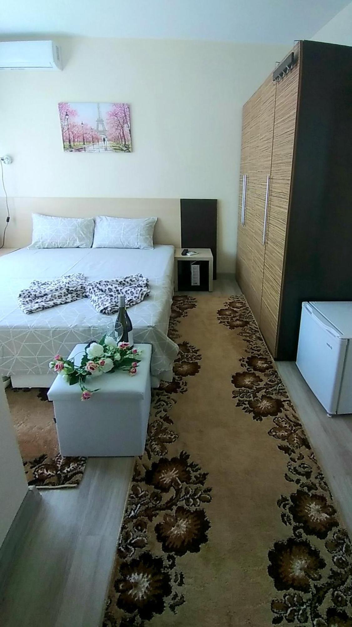 Rose & Water Guest House Pavel Banja Rum bild